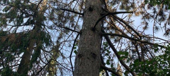 4-salle Maison à Ottakring, Austria No. 250441 9