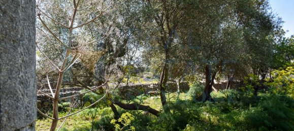 1 غرف نوم قطعة أرض في Rosolini, Italy رقم 73808 15