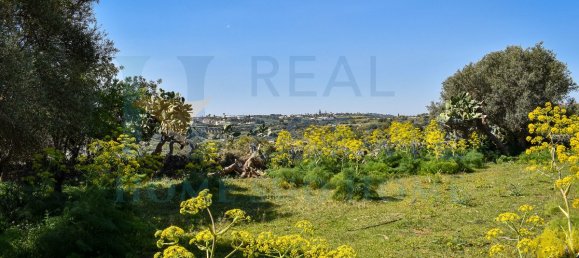 1 غرف نوم قطعة أرض في Rosolini, Italy رقم 73808 14