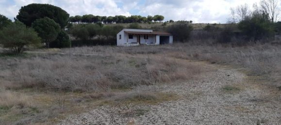 Armazém em Valladolid, Spain 7746 m² N.º 87061 7