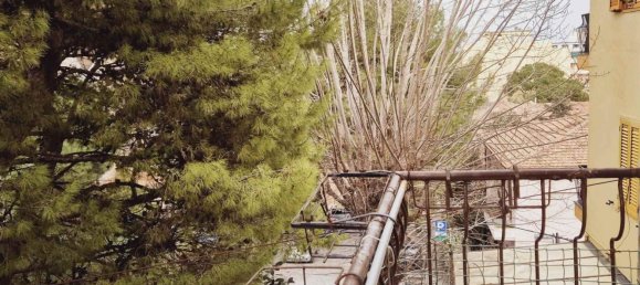 4 rooms Apartment in Falconara Marittima, Italy No. 227648 12