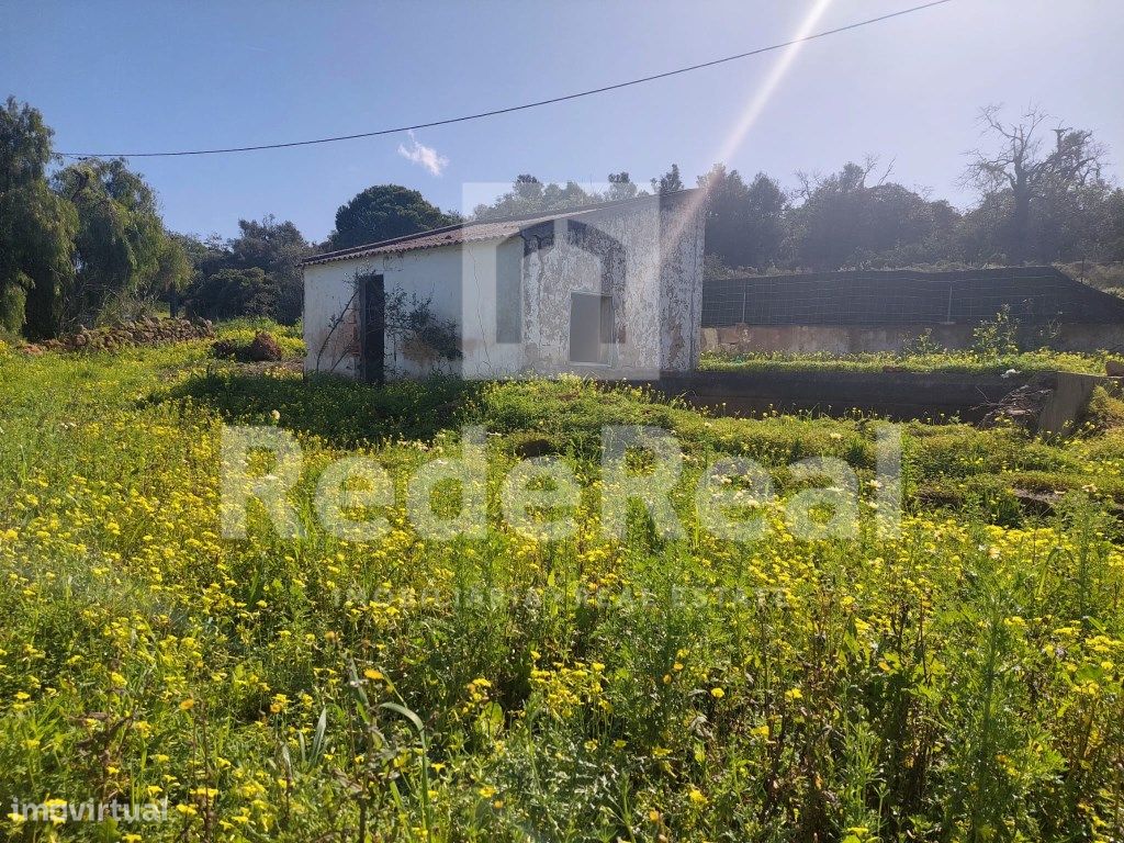 Grundstück in Quarteira, Portugal 3825m², Nr. 13720