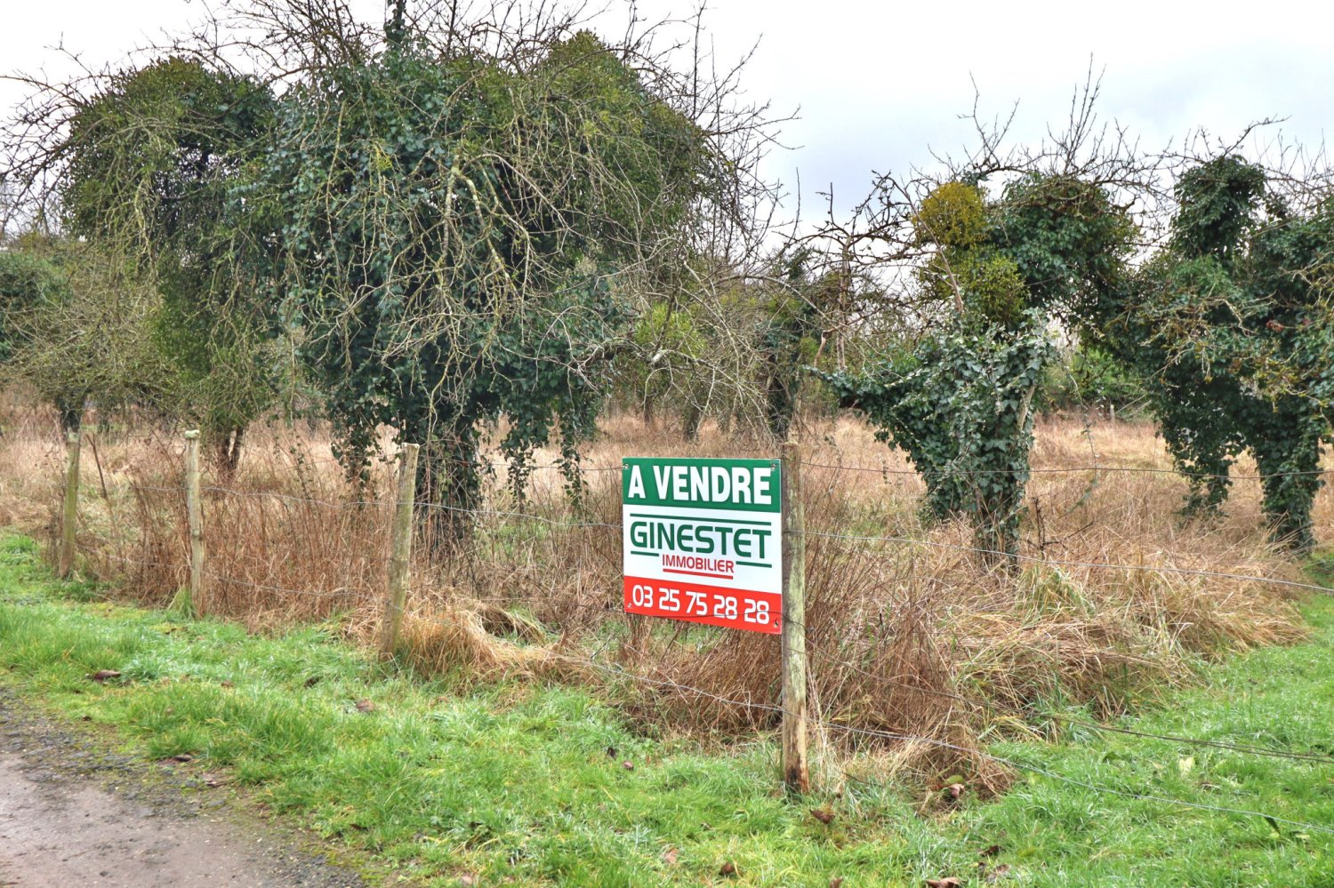  Land in Aube, France No. 83101