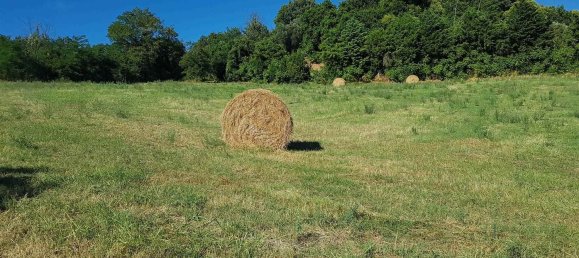  Land in Polverigi, Italy No. 362493 9