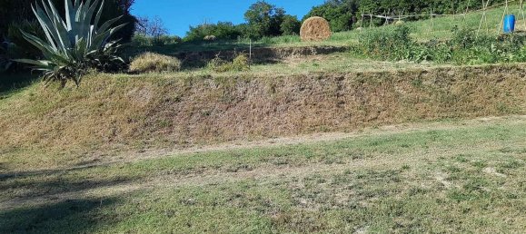  Land in Polverigi, Italy No. 362493 14