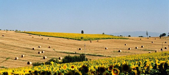 Villa T5 em Foiano della Chiana, Italy N.º 58501 19