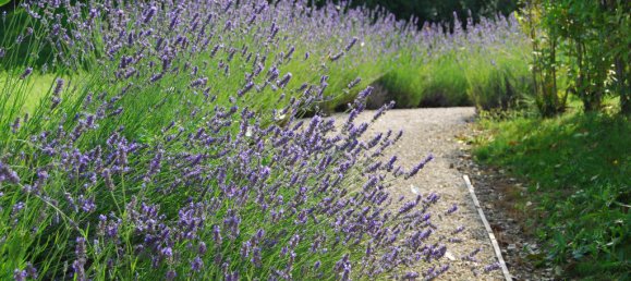 Villa T5 em Foiano della Chiana, Italy N.º 58501 20