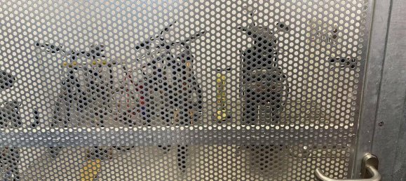 2 bedrooms Apartment in Brigittenau, Austria No. 155312 16