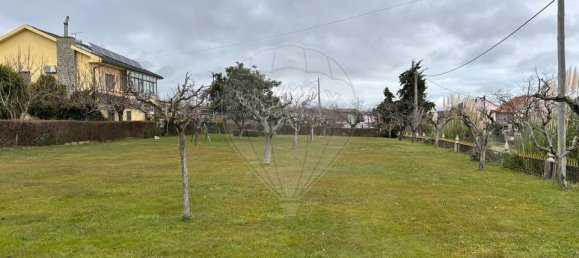 5 bedrooms House in Macedo de Cavaleiros, Portugal No. 173291 5