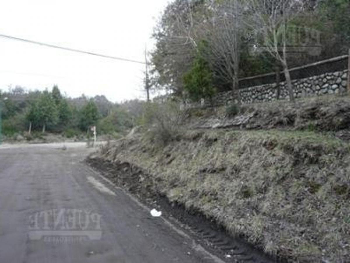 Terrain à Neuquen, Argentina No. 37663