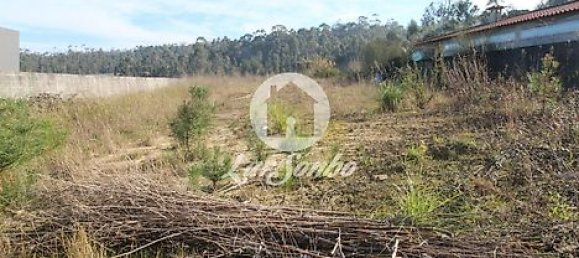 Land in Junqueira, Portugal No. 31058 4