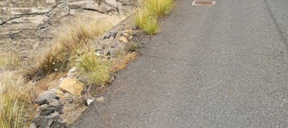  Land in Arafo, Spain No. 124096 4