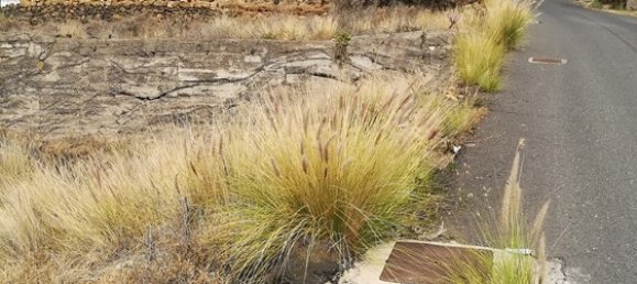  Land in Arafo, Spain No. 124096 3