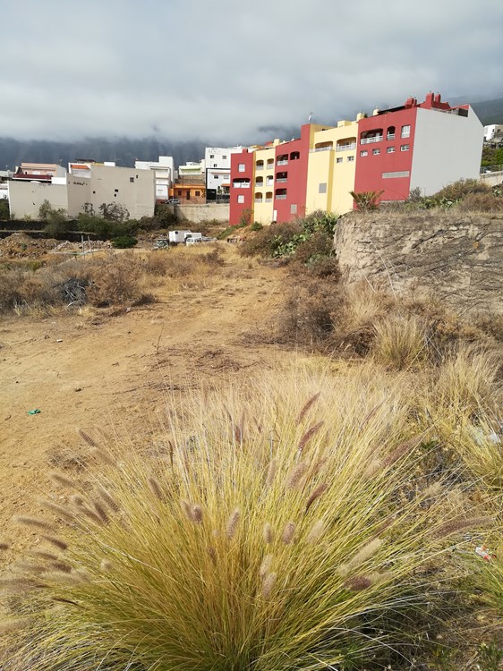  Land in Arafo, Spain No. 124096