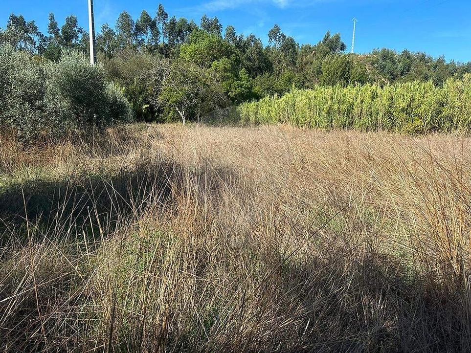 Grundstück in Tomar, Portugal, Nr. 263463