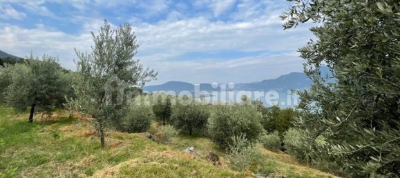 قطعة أرض في Iseo, Italy 33000متر مربع رقم 172177 5