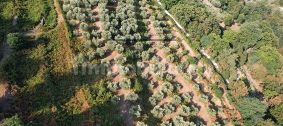 قطعة أرض في Iseo, Italy 33000متر مربع رقم 172177 23