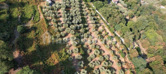 قطعة أرض في Iseo, Italy 33000متر مربع رقم 172177 24