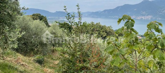 قطعة أرض في Iseo, Italy 33000متر مربع رقم 172177 4