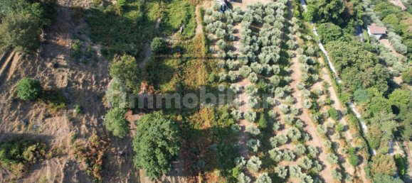 قطعة أرض في Iseo, Italy 33000متر مربع رقم 172177 26