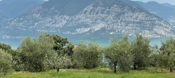 قطعة أرض في Iseo, Italy 33000متر مربع رقم 172177 3