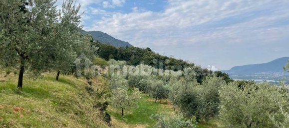 قطعة أرض في Iseo, Italy 33000متر مربع رقم 172177 7