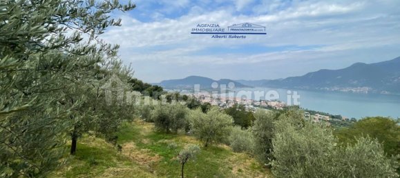 قطعة أرض في Iseo, Italy 33000متر مربع رقم 172177 8
