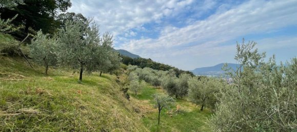 قطعة أرض في Iseo, Italy 33000متر مربع رقم 172177 6