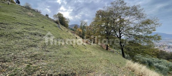 قطعة أرض في Iseo, Italy 33000متر مربع رقم 172177 20