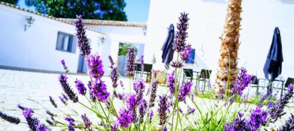 15 غرف نوم منزل في Ronda, Spain رقم 88649 30