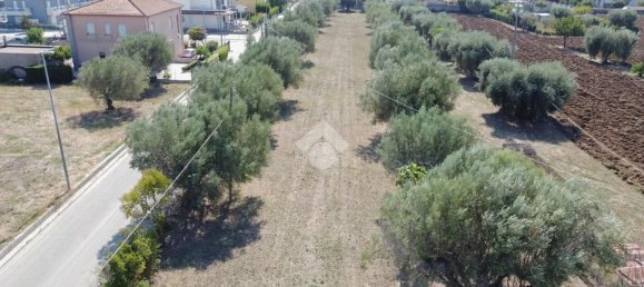 Terreno en Giulianova, Italy 900 m² No. 74320 5