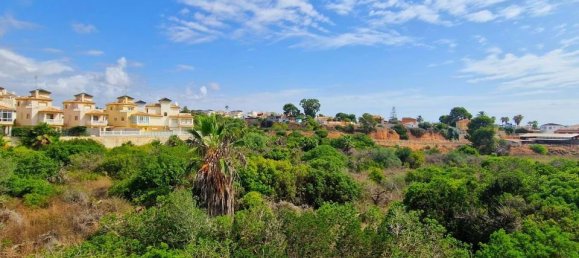 2 bedrooms Apartment in Cabo Roig, Spain No. 170241 29