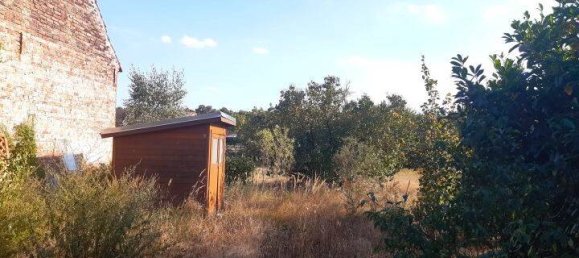 3 rooms House in Potsdam-Mittelmark, Germany No. 88095 7