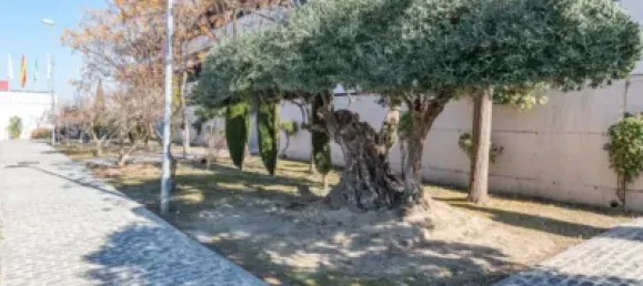 2 Schlafzimmer Penthouse in Las Gabias, Spain, Nr. 176338 69