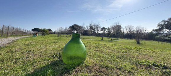 Villa de 6 habitaciónes en Tarquinia, Italy No. 152255 2