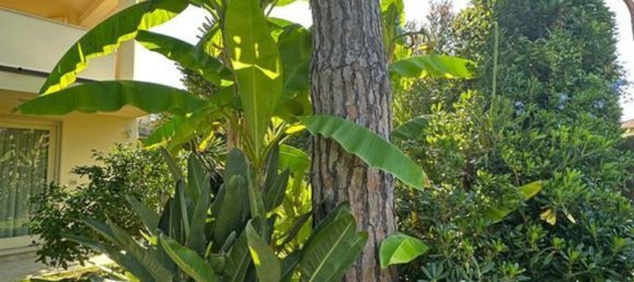 5-Zimmer Villa in Forte dei Marmi, Italy, Nr. 188640 3