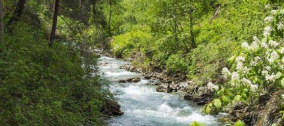 4 rooms House in Tyrol, Austria No. 256818 12