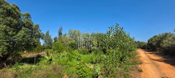 Grundstück in Faro, Portugal, Nr. 237492 7