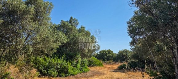 Grundstück in Faro, Portugal, Nr. 237492 10