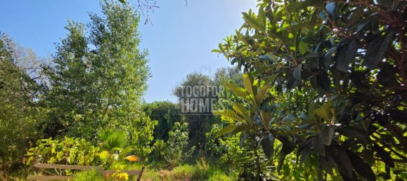 Grundstück in Faro, Portugal, Nr. 237492 9