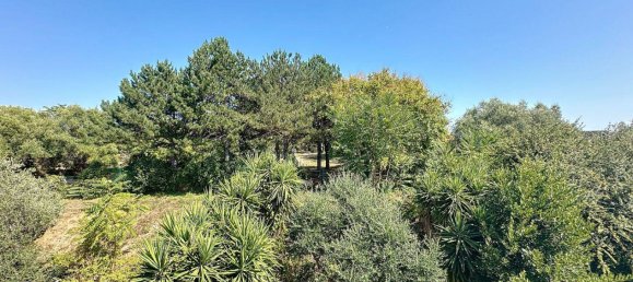 1 bedroom Apartment in Nice, France No. 328957 8