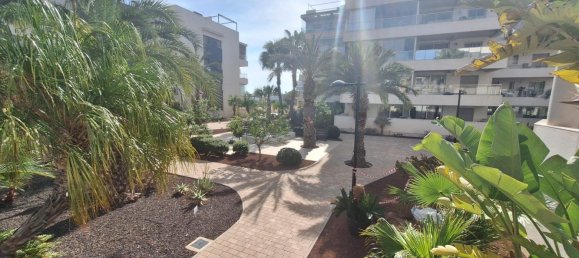 1 chambre appartement à vendre à Los Dolses, Alicante, Valencian Community, Spain № 365832 15