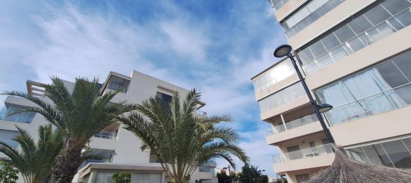 1 chambre appartement à vendre à Los Dolses, Alicante, Valencian Community, Spain № 365832 13
