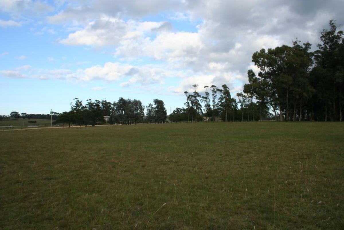  Land in Maldonado, Uruguay No. 16159