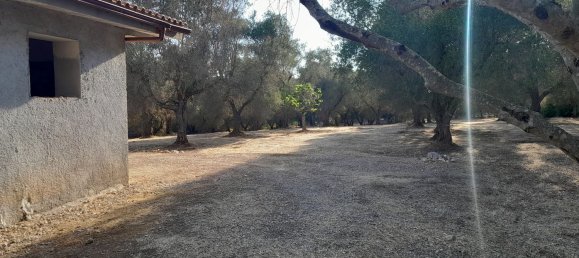 3غرفة منزل في San Michele Salentino, Italy رقم 254873 3