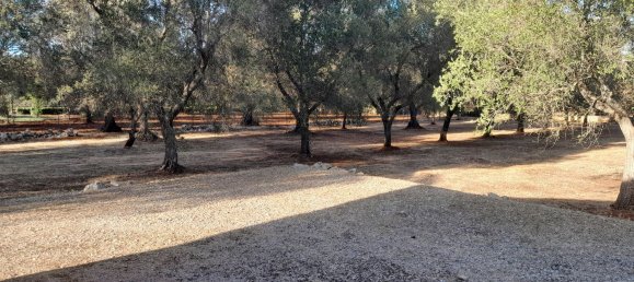 3غرفة منزل في San Michele Salentino, Italy رقم 254873 7