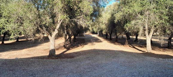 3غرفة منزل في San Michele Salentino, Italy رقم 254873 5