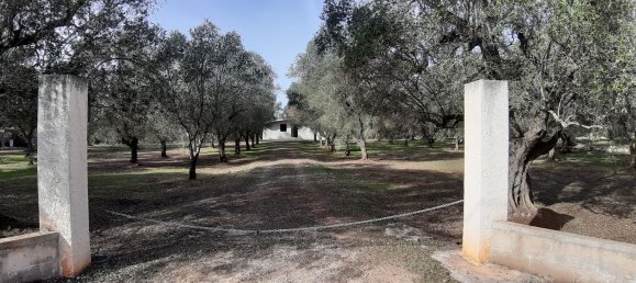 3غرفة منزل في San Michele Salentino, Italy رقم 254873 8