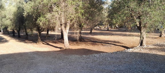 3غرفة منزل في San Michele Salentino, Italy رقم 254873 6