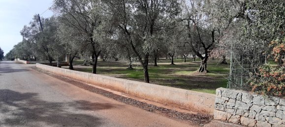 3غرفة منزل في San Michele Salentino, Italy رقم 254873 10